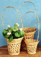 midrib planter baskets