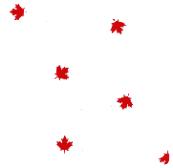 maple leaf