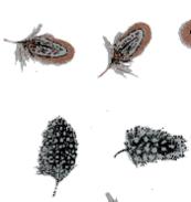 SILVER, BLACK & COPPER