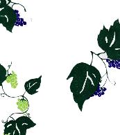 LIGHT, DARK GREEN & PURPLE