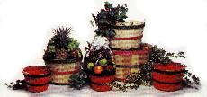bushel baskets coloured