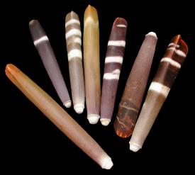 ss105b Slate Sea Urchin Spines